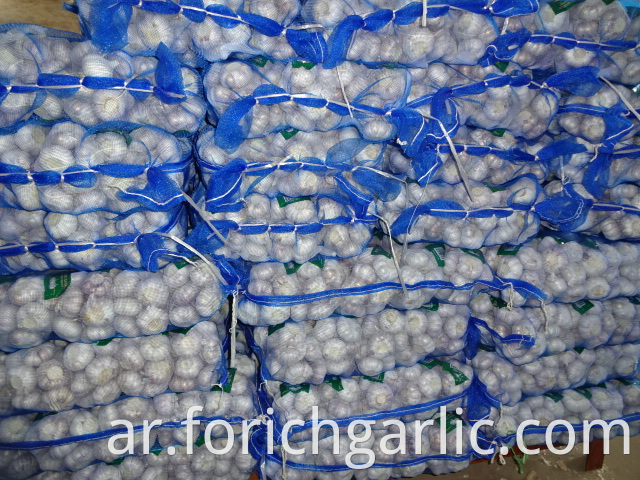 Export Standard Fresh New Garlic